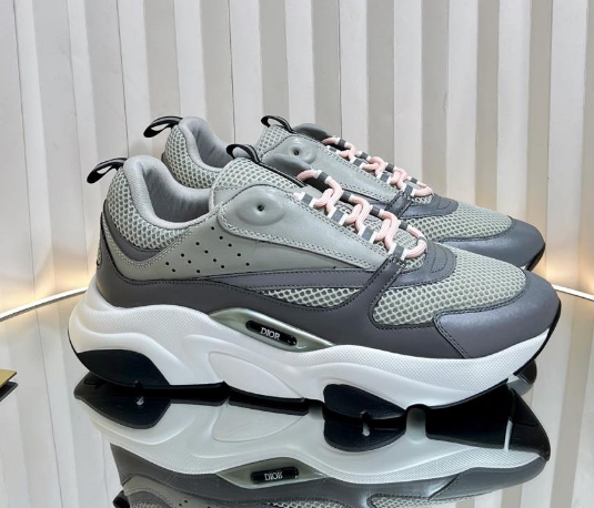 Dior B22