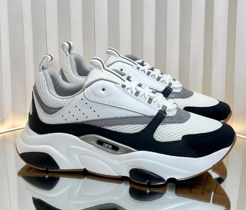 Dior B22